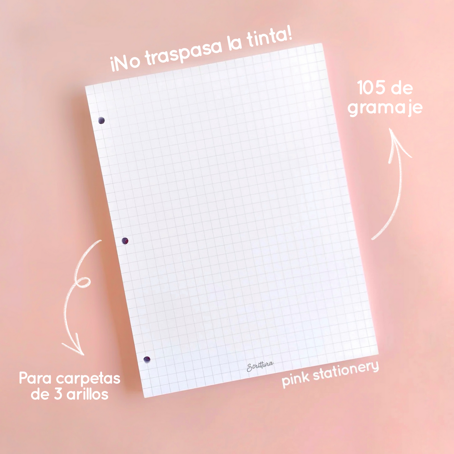 Repuesto hojas carta para carpeta