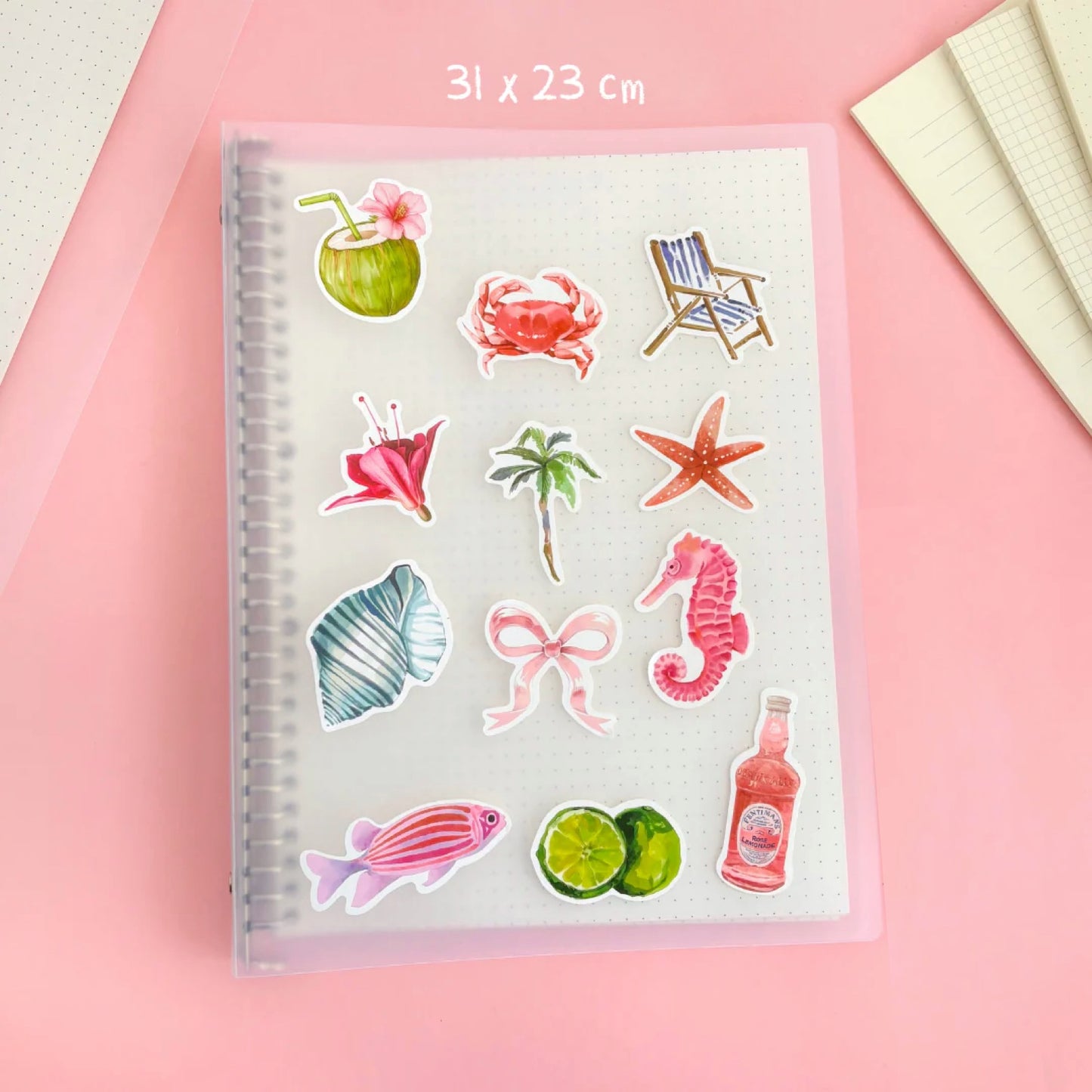 Carpeta y repuestos (A4 Grande)