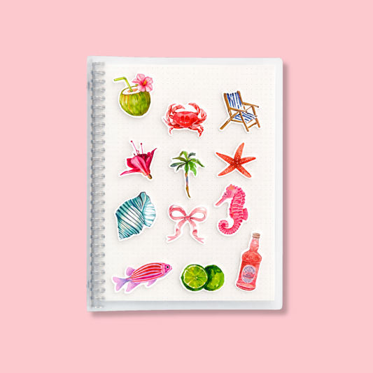 Carpeta y repuestos (A4 Grande)