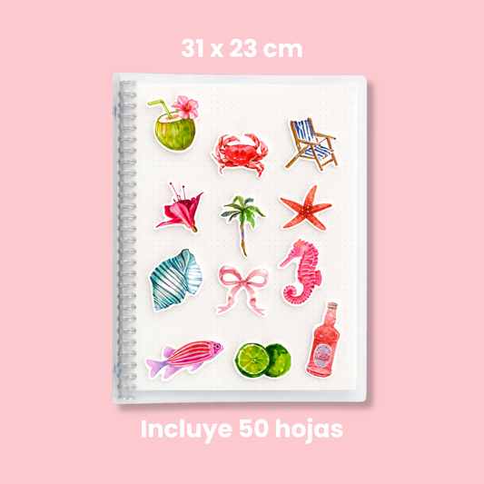 Carpeta y repuestos (A4 Grande)