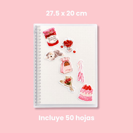 Carpeta y repuestos (B5 Mediana)