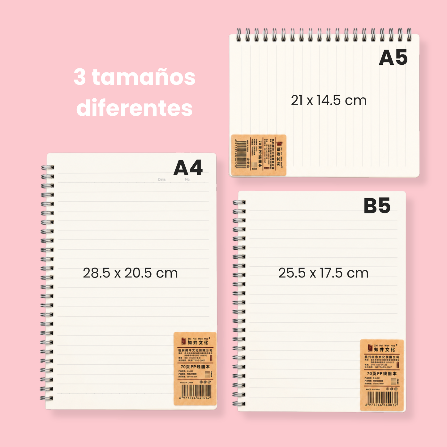 Libreta H. RAYAS