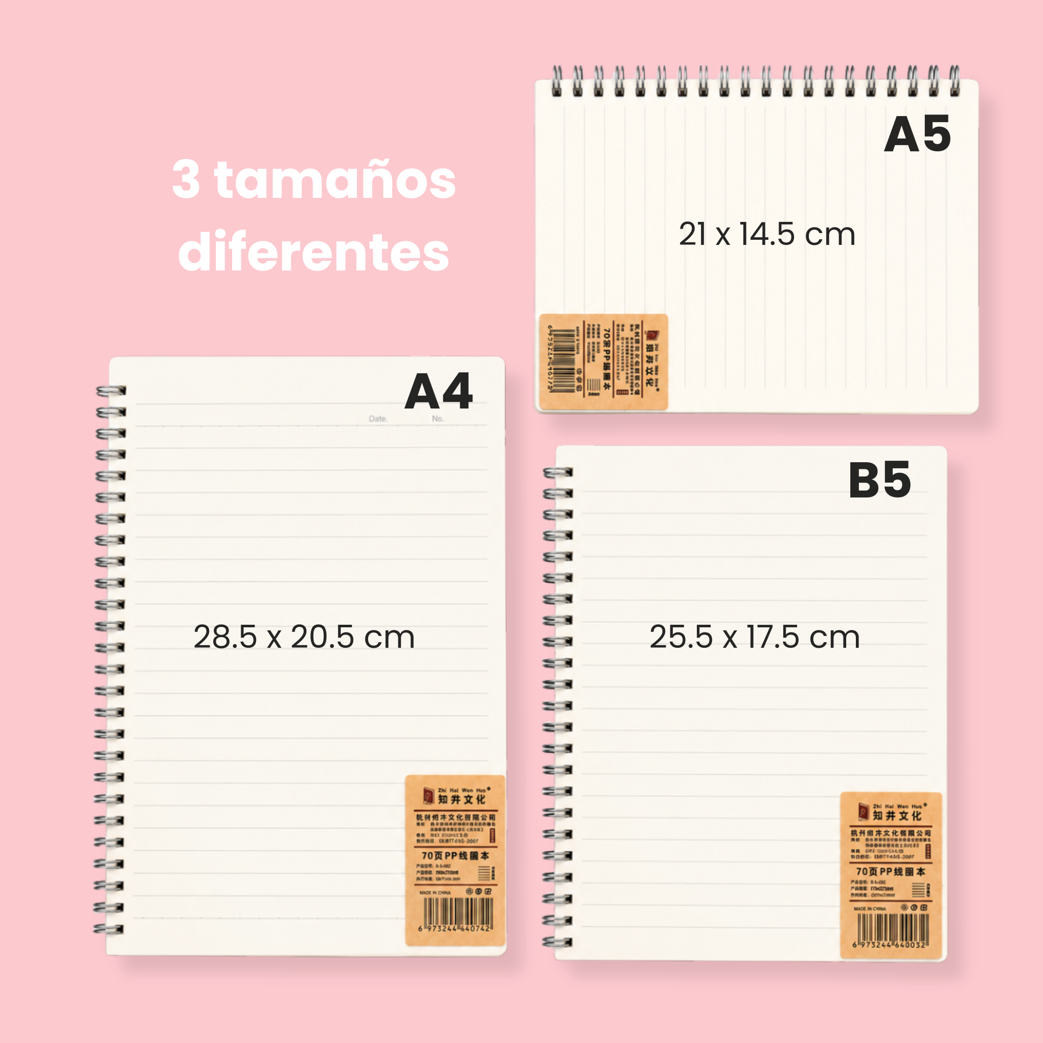 Libreta H. RAYAS