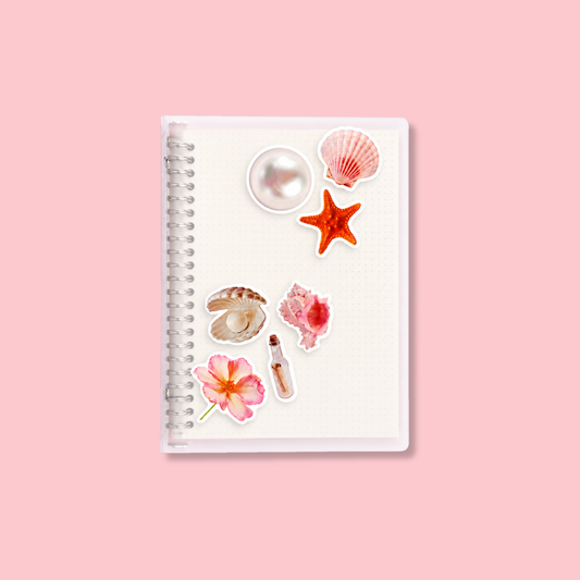 Carpeta y repuestos (A5 Chica)