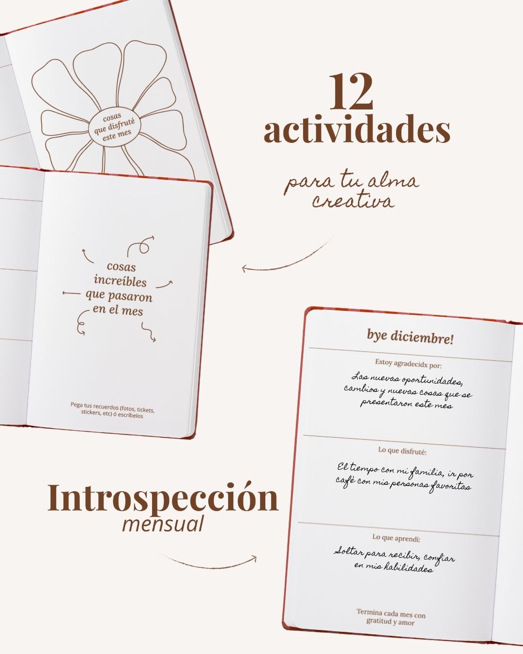 Agenda 2026 "Cabana" "Sunrise"