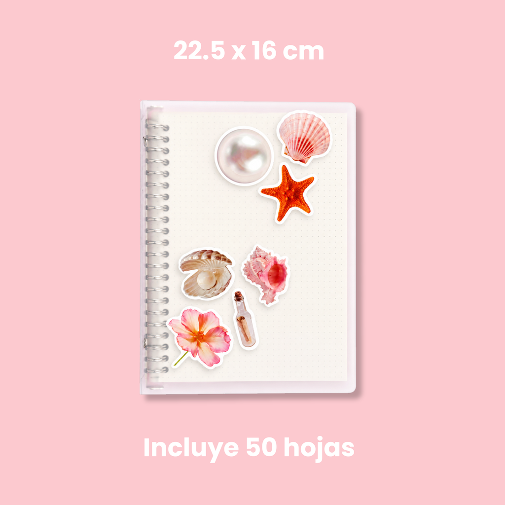 Carpeta y repuestos (A5 Chica)