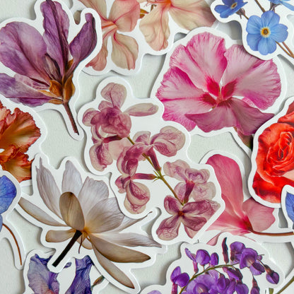 Sticker individuales