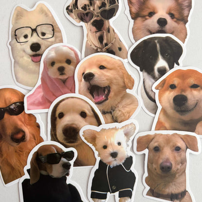 Sticker individuales